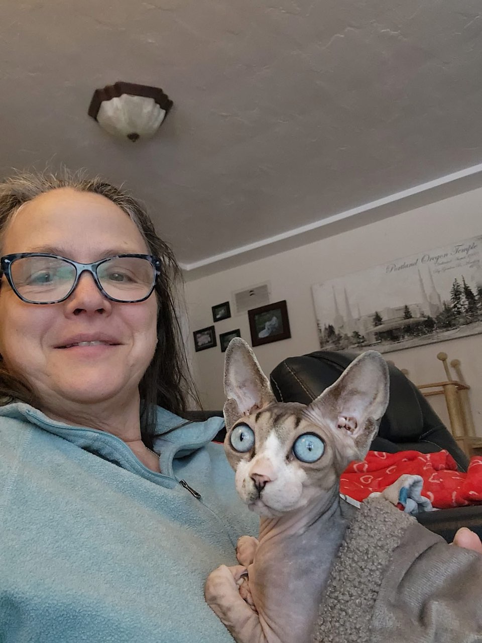 Ball Family Farm - family-raised Sphynx kittens in Salem Oregon